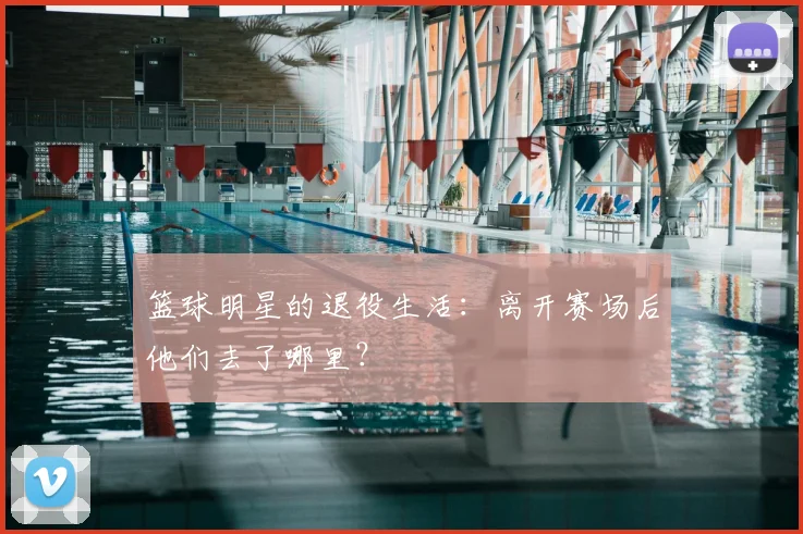 篮球明星的退役生活:离开赛场后他们去了哪里?