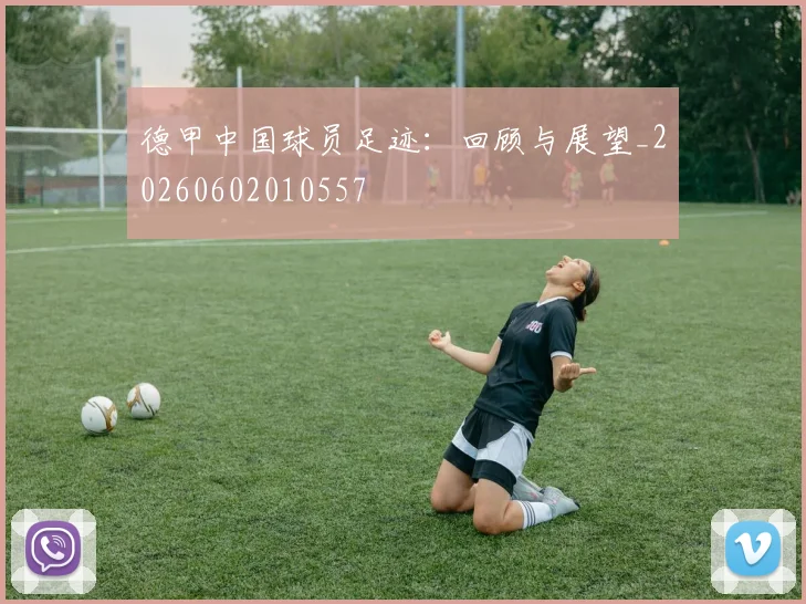 德甲中国球员足迹:回顾与展望_20260602010557